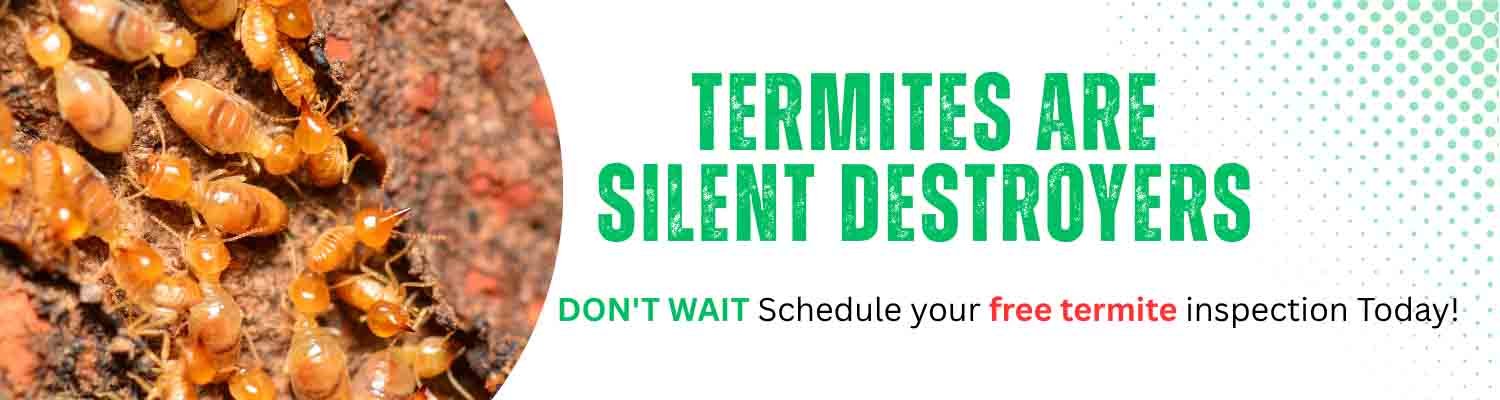 Laxmi Pest Control Delhi, Laxmi Pest Control Patna, Laxmi Pest Control Gaya